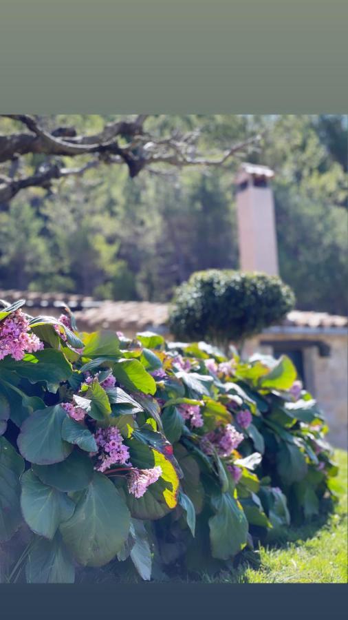 Masia Cap Del Roc Vallcebre 外观 照片