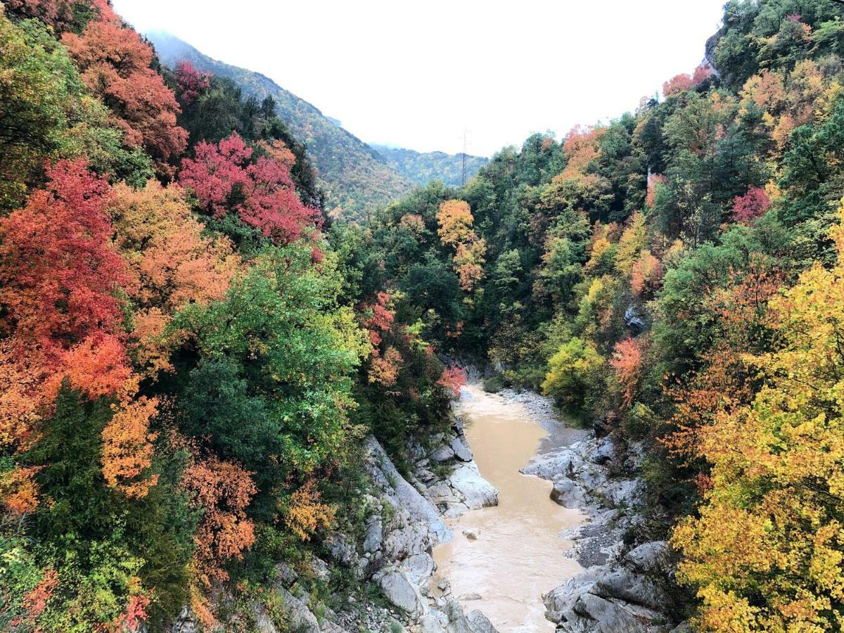 Masia Cap Del Roc Vallcebre 外观 照片
